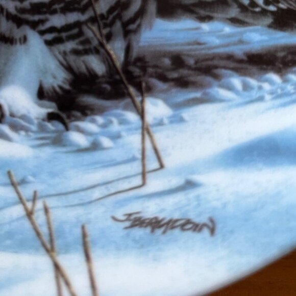 VINTAGE 1989 Knowles Limited Edition Collector Plate Snowy Owl by Jim Beaudoin - Picture 4 of 6
